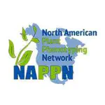 Young Elected to the North American Plant Phenotyping Network Executive Board